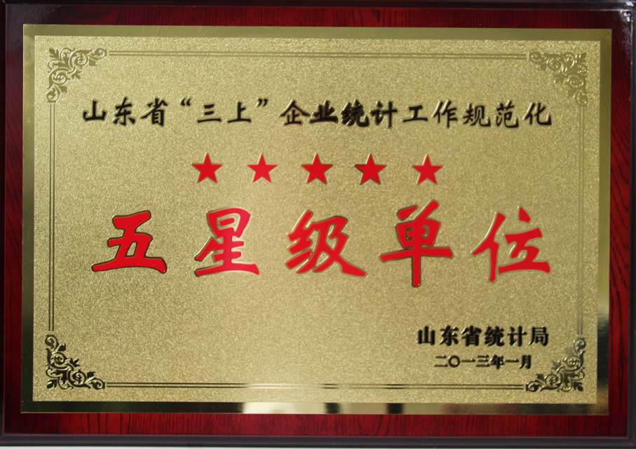 開發(fā)公司被授予省“三上”企業(yè)統(tǒng)計(jì)規(guī)范化五星級(jí)單位